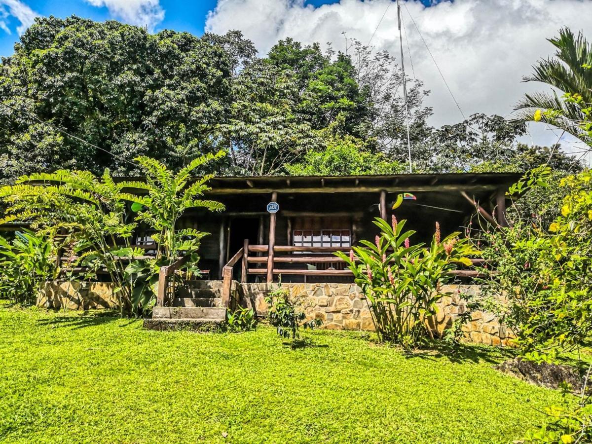 Cabanas Montanas Del Tenorio Rio Celeste Exteriör bild