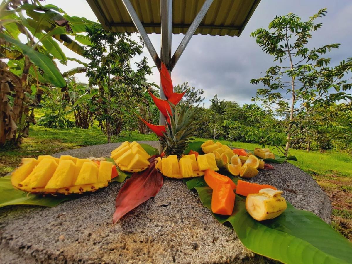 Cabanas Montanas Del Tenorio Rio Celeste Exteriör bild