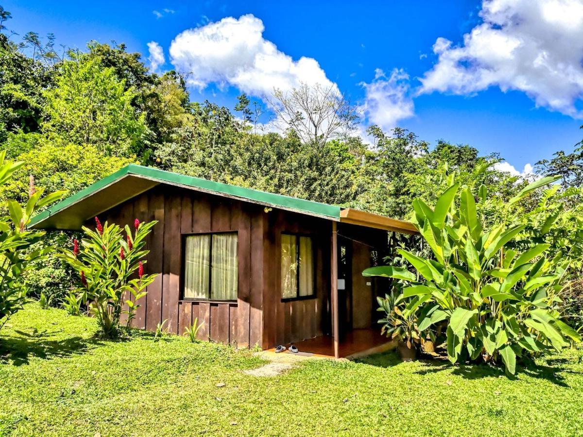 Cabanas Montanas Del Tenorio Rio Celeste Exteriör bild