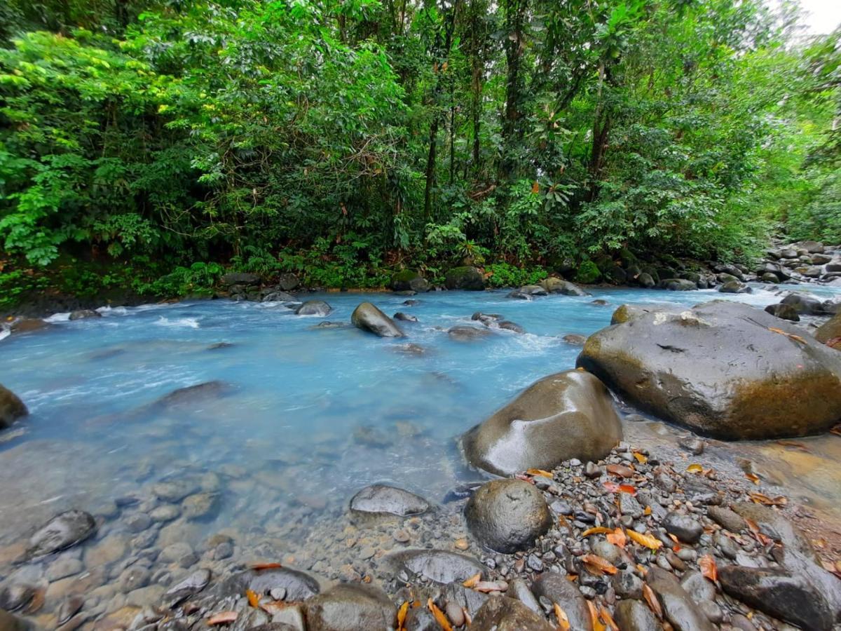 Cabanas Montanas Del Tenorio Rio Celeste Exteriör bild