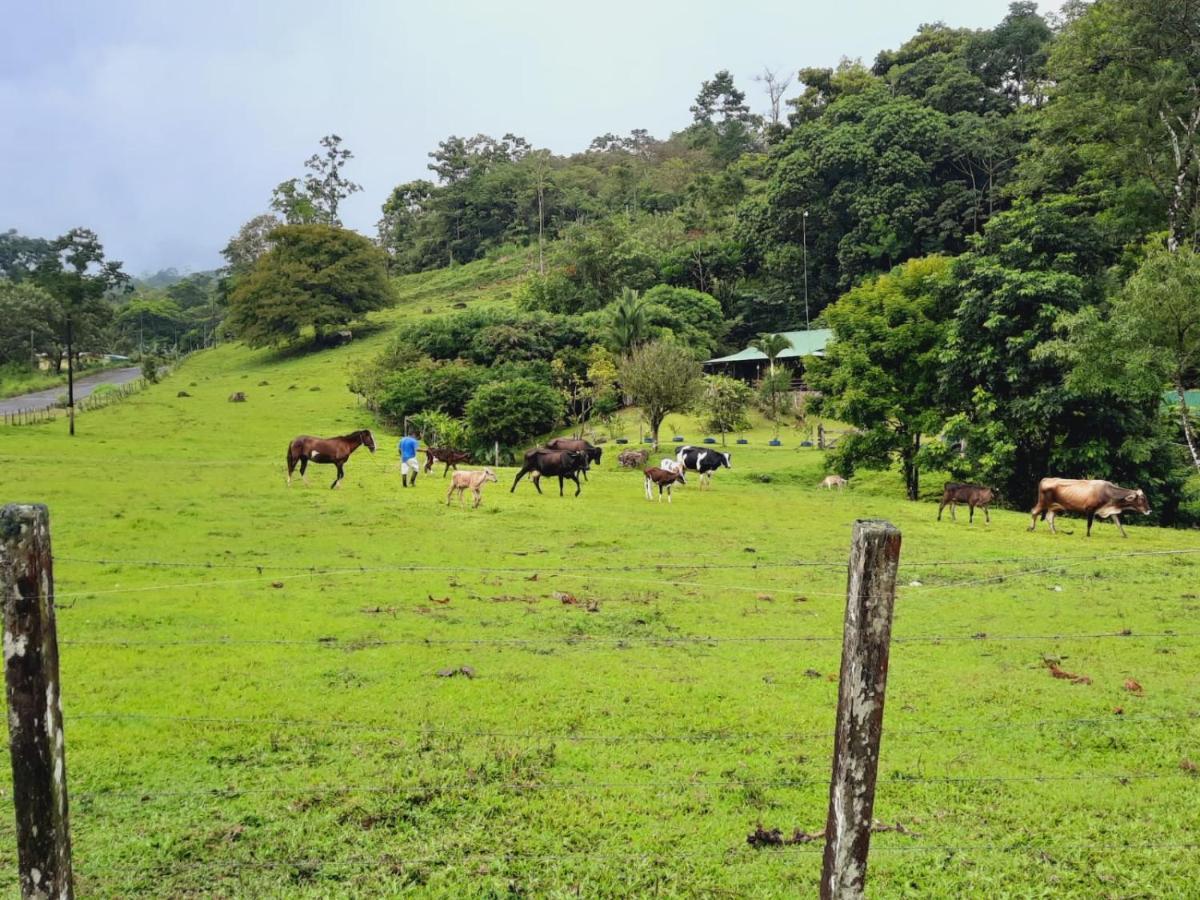 Cabanas Montanas Del Tenorio Rio Celeste Exteriör bild