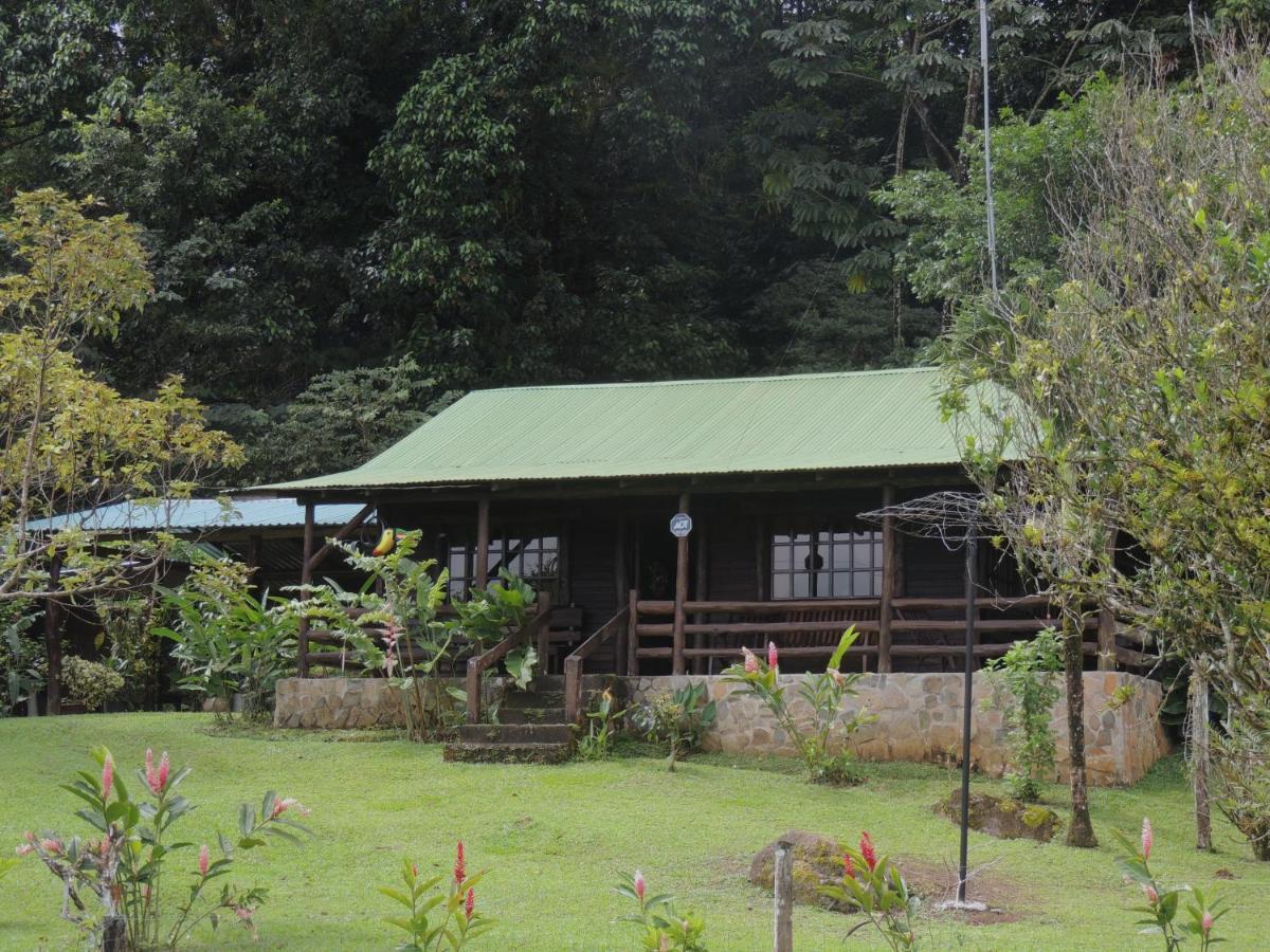 Cabanas Montanas Del Tenorio Rio Celeste Exteriör bild