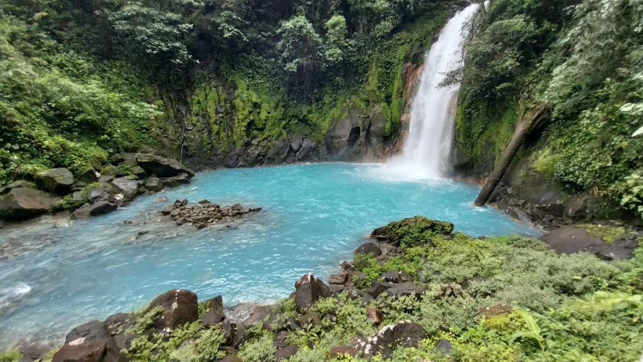 Cabanas Montanas Del Tenorio Rio Celeste Exteriör bild
